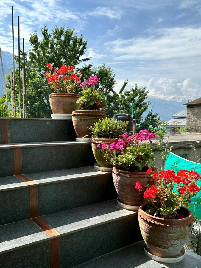 Jal-Vayu Cottages Manāli Extérieur photo